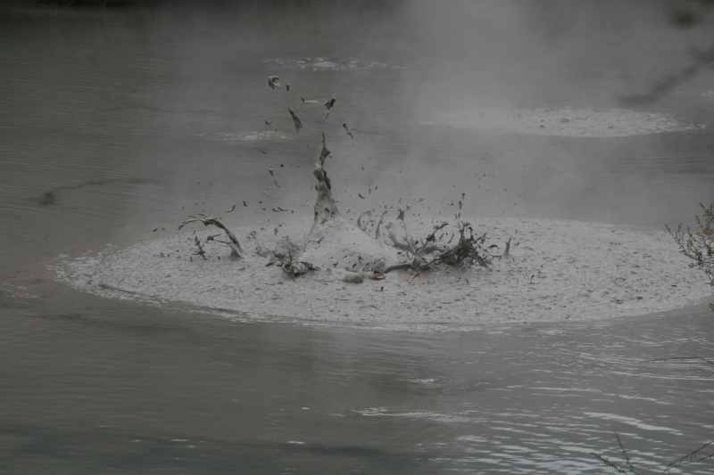 Nieuw-Zeeland 2011 - 0738